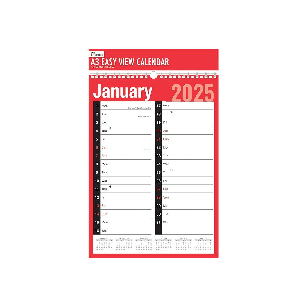 2025 A3 Month to View Calendar