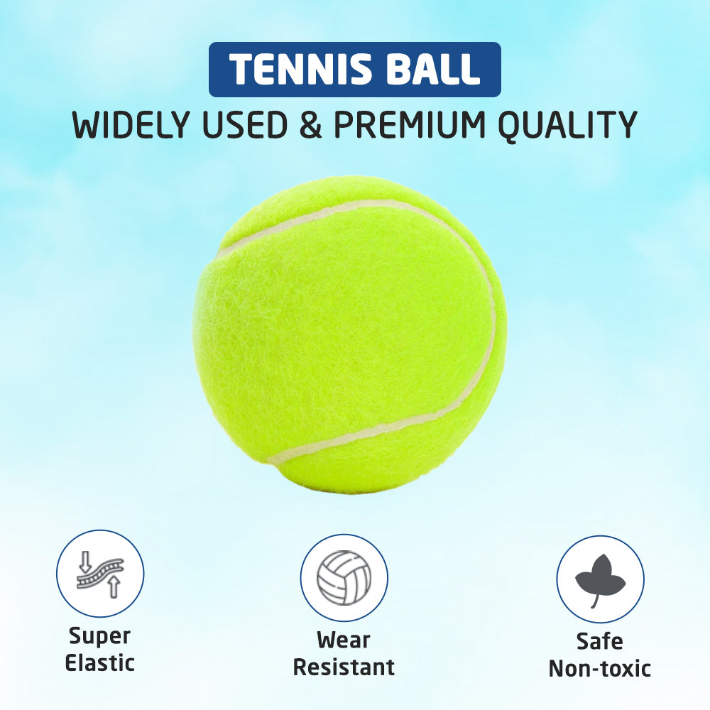 Dog tennis balls