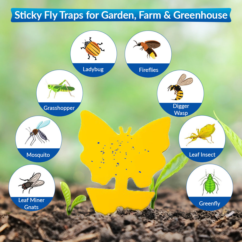 Sticky Fly Traps