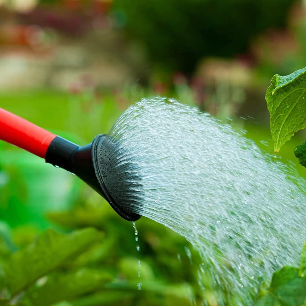 plant watering can